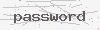 captcha:password