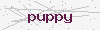 captcha:puppy