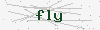 captcha:fly
