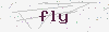 captcha:fly