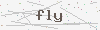 captcha:fly