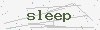 captcha:sleep