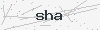 captcha:sha